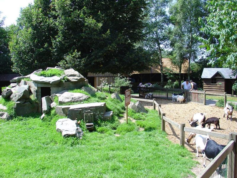 Mini ferme