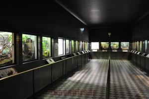 Le Vivarium