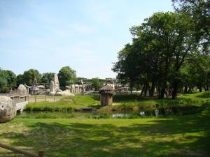 Installation Grands singes