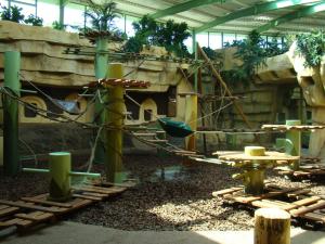 Installation Grands singes