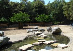 Pampa sud-américaine