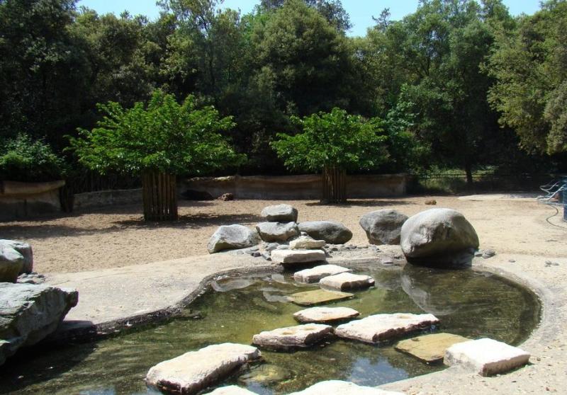 Pampa sud-américaine