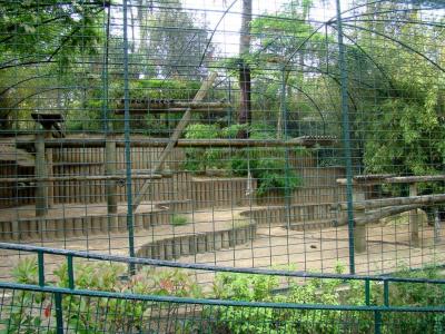 Panthère du Sri Lanka - 2009