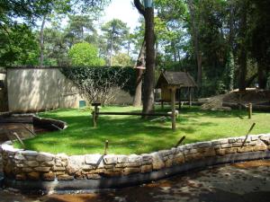 Vari à ceinture blanche