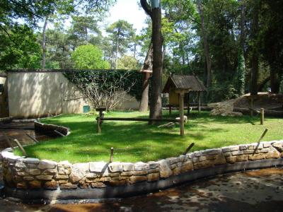 Vari à ceinture blanche - 2009