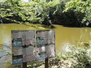La mare des canards