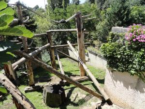 Ours malais - Binturong
