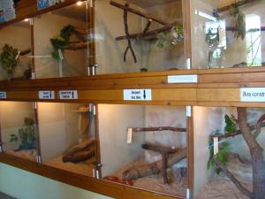 Vivarium