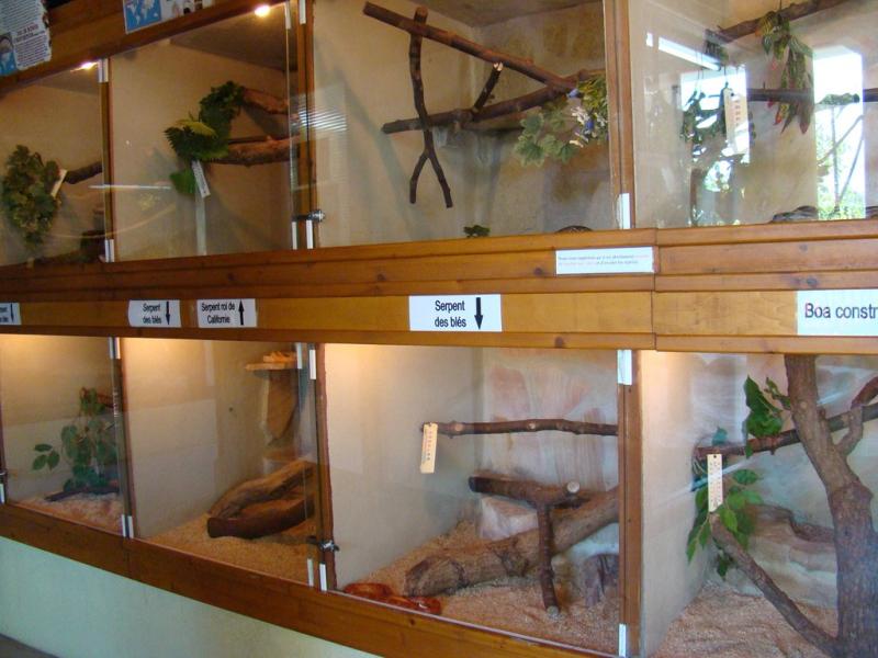 Vivarium
