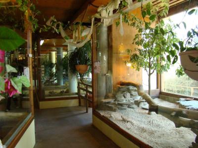 Vivarium - 2010