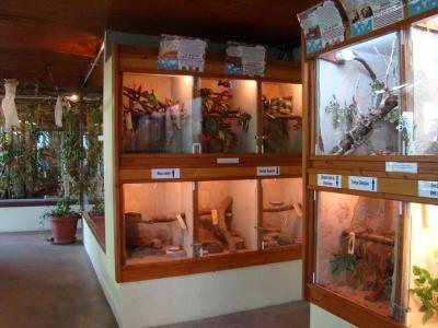 Vivarium - 2010