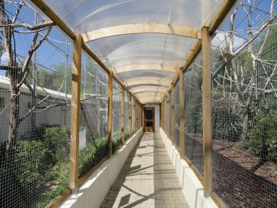 Volières de l'oisellerie - 2010