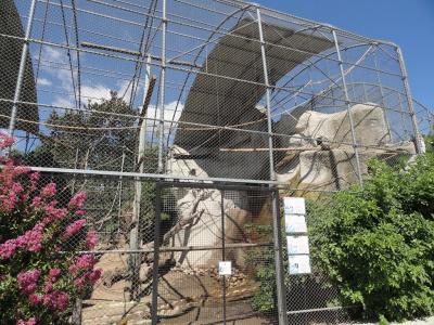 Volière des aras - 2010