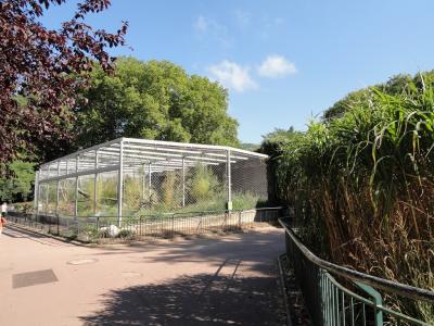 Panthère de l'Amour - 2010