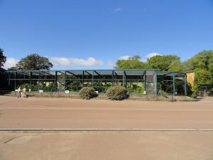 Installation des singes