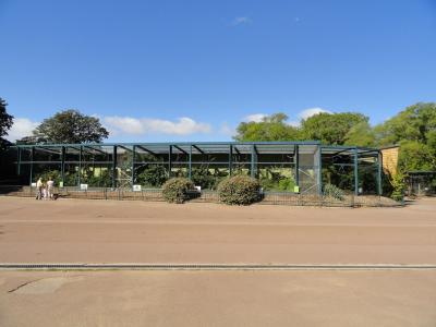 Installation des singes - 2010