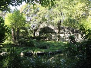 Tigre du Bengale
