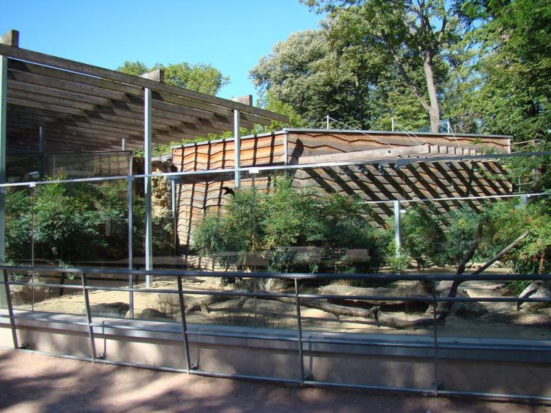 Espace désert africain