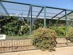 Installation des singes