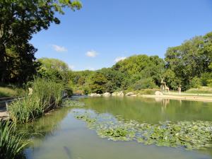 Plan d'eau