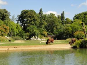 Plaine africaine