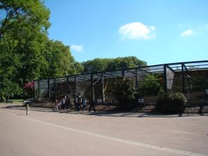 Installation des singes