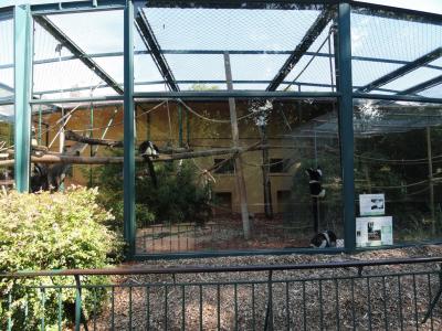 Vari à ceinture blanche - 2010