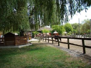 Mini-ferme