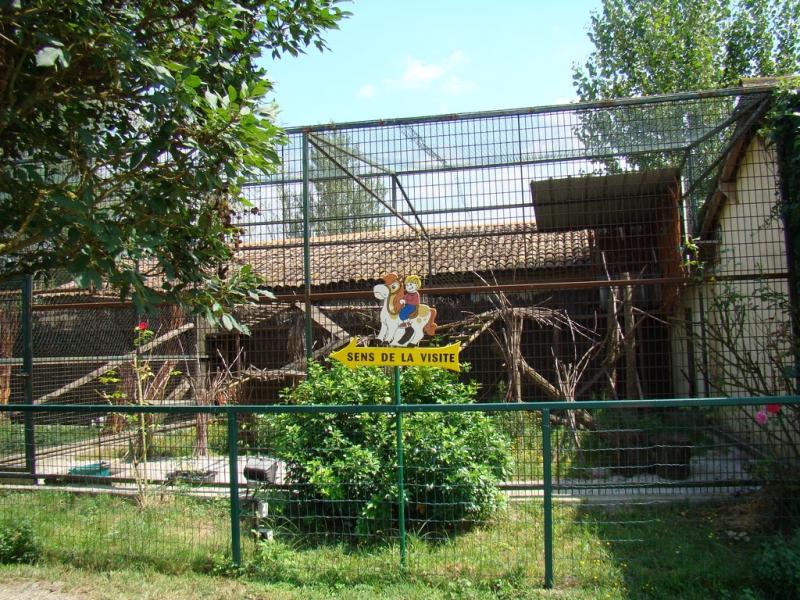 Lémuriens