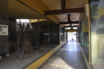 Perruche omnicolore - 2015