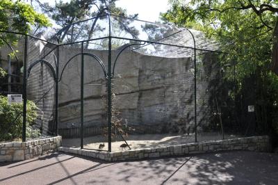 Perruche omnicolore - 2015