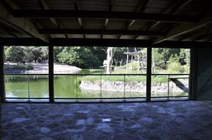 Vue depuis les loges des singes