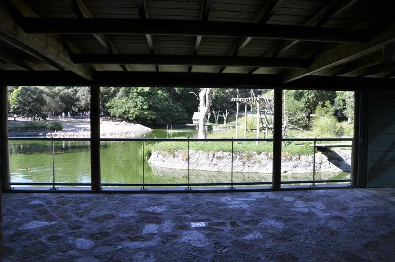 Vue depuis les loges des singes