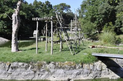 Maki vari roux - 2015