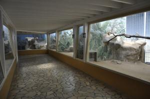 Loge des singes
