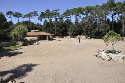 Rhinocéros blanc - Zébre de Grevy - 2015