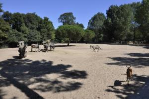 Plaine africaine