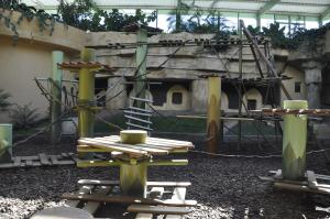 Bâtiment des grands singes