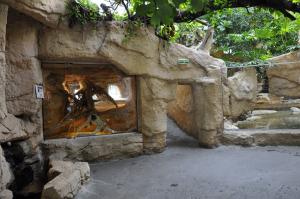 Serre tropicale