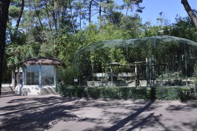 Panthère des neiges - 2015