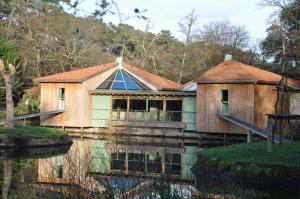 Loge des singes