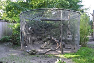 Vari noir et blanc - 2011