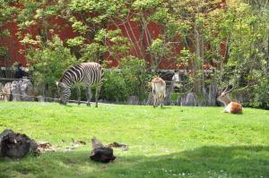 Plaine africaine