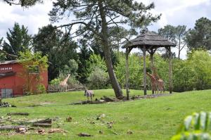 Plaine africaine