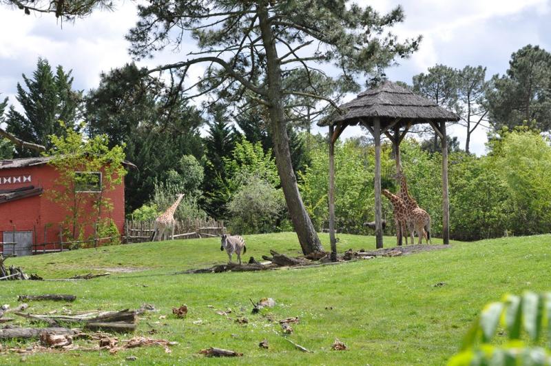 Plaine africaine
