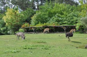 Plaine africaine