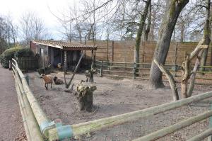 Mini-ferme