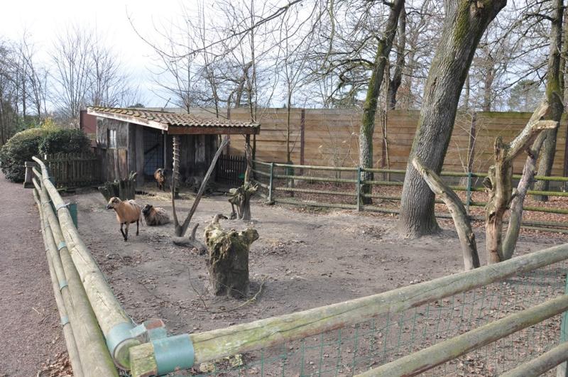 Mini-ferme