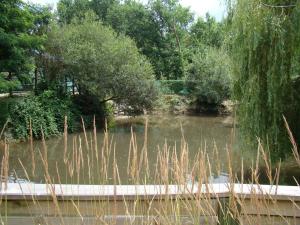 Etang des anatidés