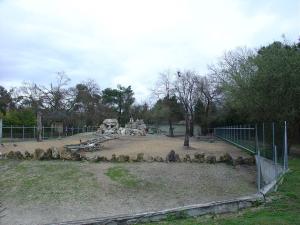 Tapir terrestre